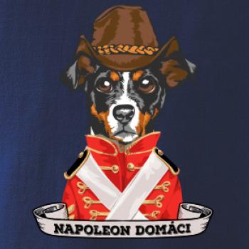 Napoleon domáci kríženec
