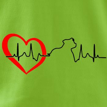 Stafordšírsky bulteriér ‎ EKG