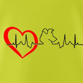 Borderská kólia EKG Borderská kólia EKG