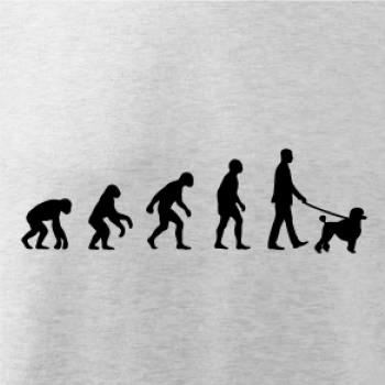 Evolúcia pes pudel (muž-žena) Evolúcia pes pudel (muž-žena)