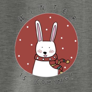 Winter is coming zajac