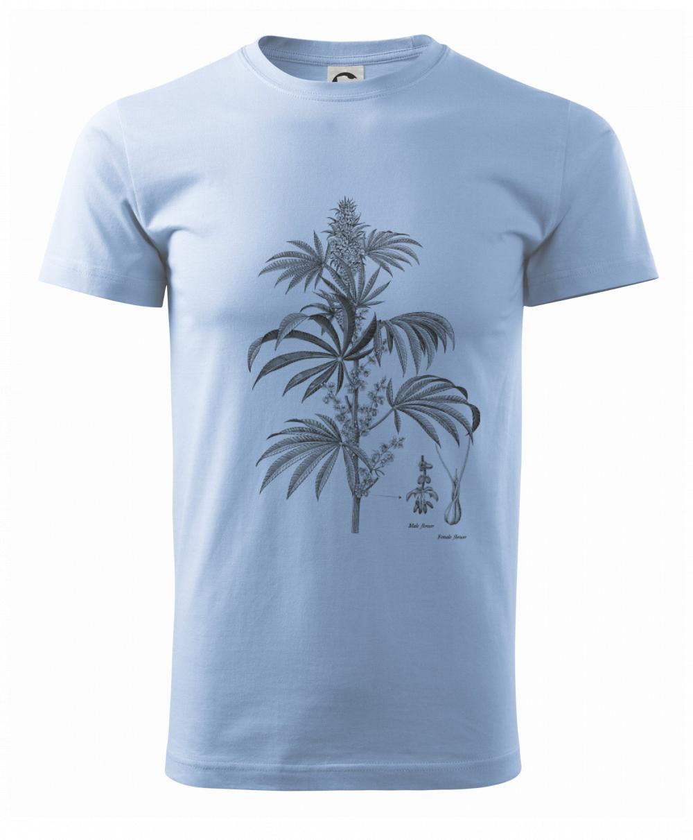 Konope kvietok čiernobiely   Konope kvietok čiernobiely