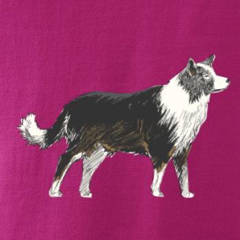 Border kólia kreslená