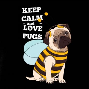 Keep calm and love pugs