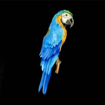 Ara modrá kreslená