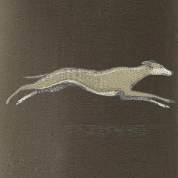 Vintage Greyhound