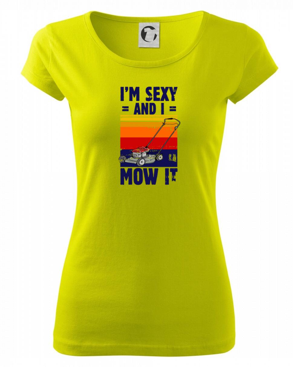 I'm sexy and i mow it I'm sexy and i mow it