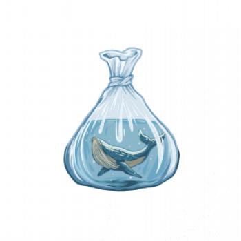 Veľryba vo vrecúšku