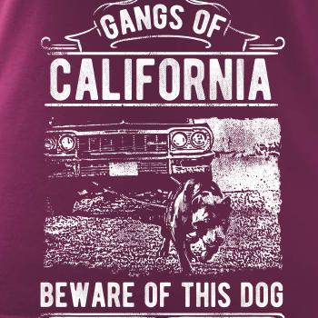 Gangs Of California
