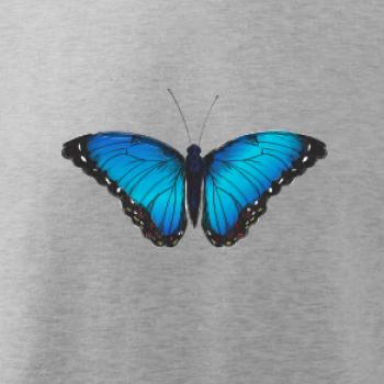 Motýľ Babôčka Morpho Peleides