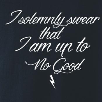 I solemnly swear that I'm up to no good I solemnly swear that I'm up to no good