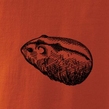 Ceruzkou kreslený Škrečok