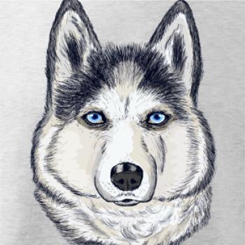 Husky hlava - kreslený Husky hlava - kreslený