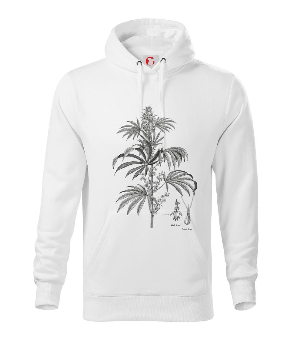 Konope kvietok čiernobiely   Konope kvietok čiernobiely