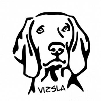 Vizsla Hlava