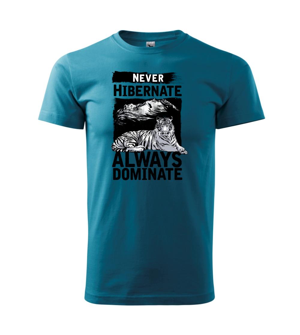 Never Hibernate Never Hibernate