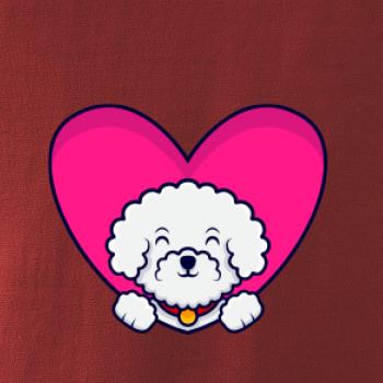 Bišónik zalezený v srdci