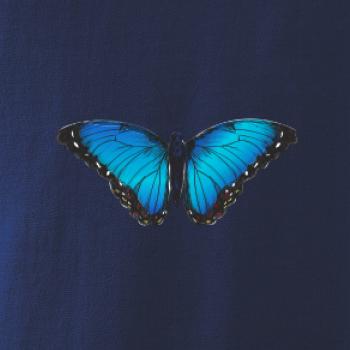 Motýľ Babôčka Morpho Peleides