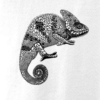 Chameleon kresba