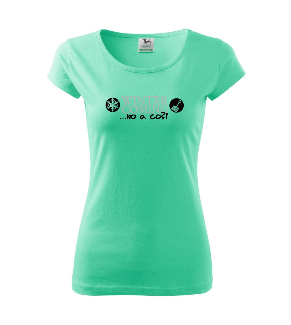 Winter Is Coming parodie Winter Is Coming parodie