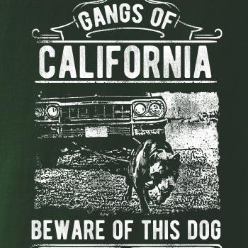 Gangs Of California Gangs Of California
