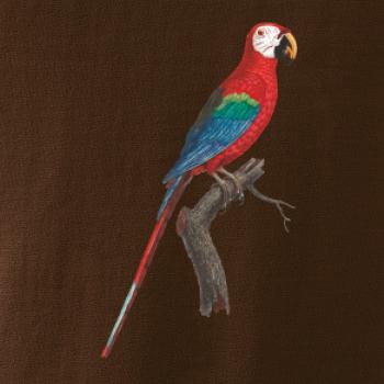 Papagáj červený na vetve