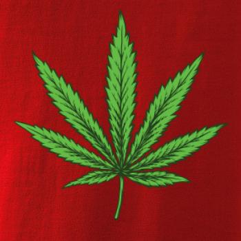 Zelený list Zelený list