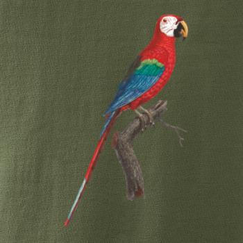 Papagáj červený na vetve