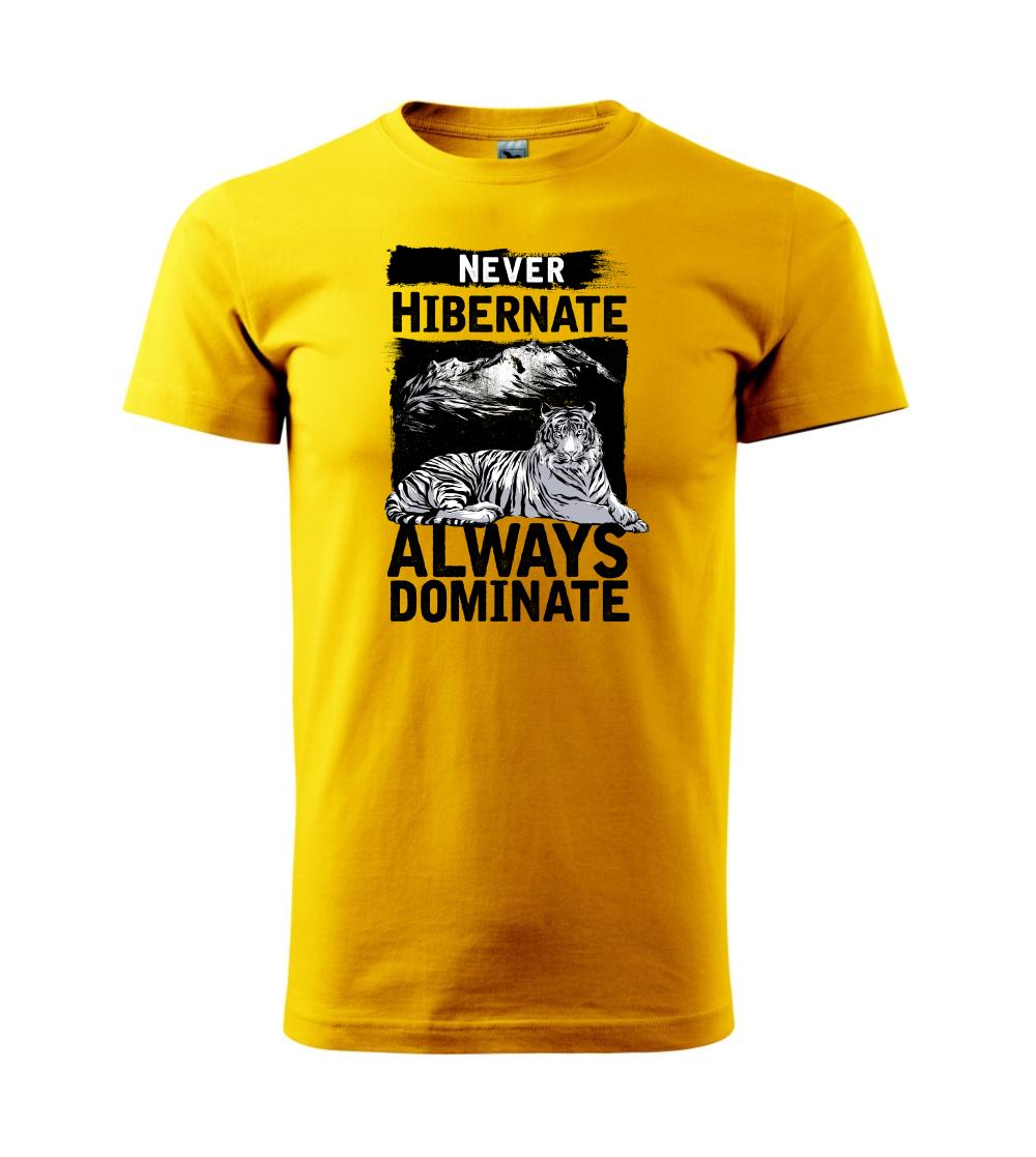 Never Hibernate Never Hibernate