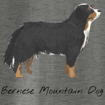 Bernese mountain dog kreslený