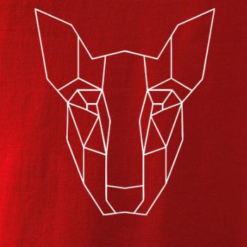 Americký Pit Bull Teriér - Geometria