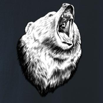 Medveď trošku naštvaný