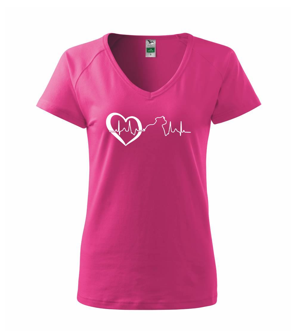 Stafordšírsky bulteriér  EKG Stafordšírsky bulteriér  EKG