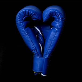 Boxerske rukavice modré