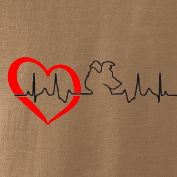 Borderská kólia EKG Borderská kólia EKG