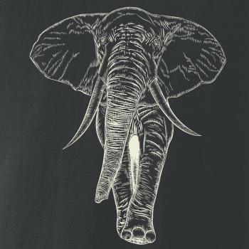 Slon vo farbe slonovej kosti