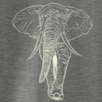 Slon vo farbe slonovej kosti