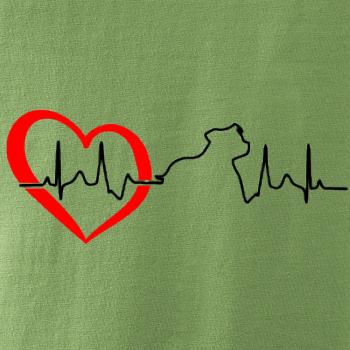 Stafordšírsky bulteriér  EKG Stafordšírsky bulteriér  EKG