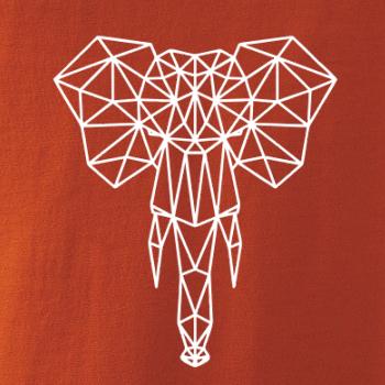 Geometrie - slon chobot