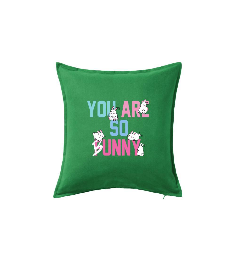 Ostatné nápisy - You are so funny - Vankúš 50x50