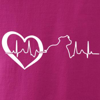 Stafordšírsky bulteriér ‎ EKG