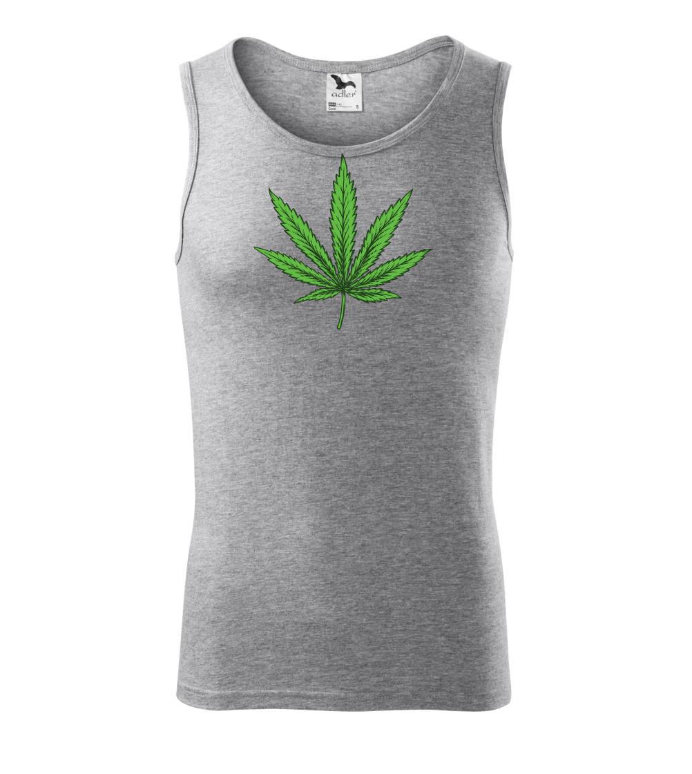 Zelený list Zelený list