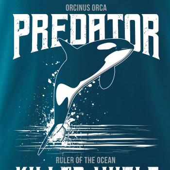 Orca predator