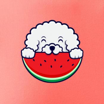 Bišónik s melónom