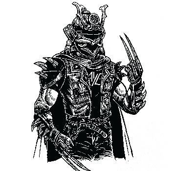 Samurai Punk
