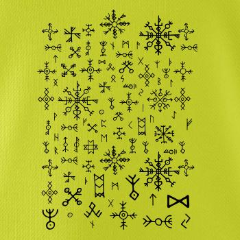 Vikingské runy Vikingské runy