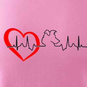 Borderská kólia EKG Borderská kólia EKG