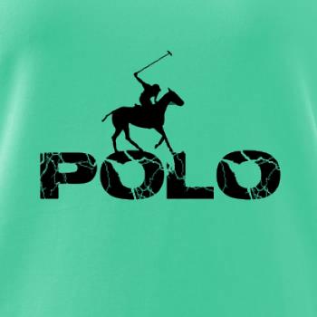 Polo blesk