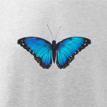 Motýľ Babôčka Morpho Peleides