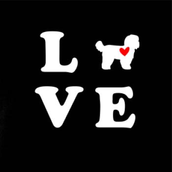 Shih Tzu love